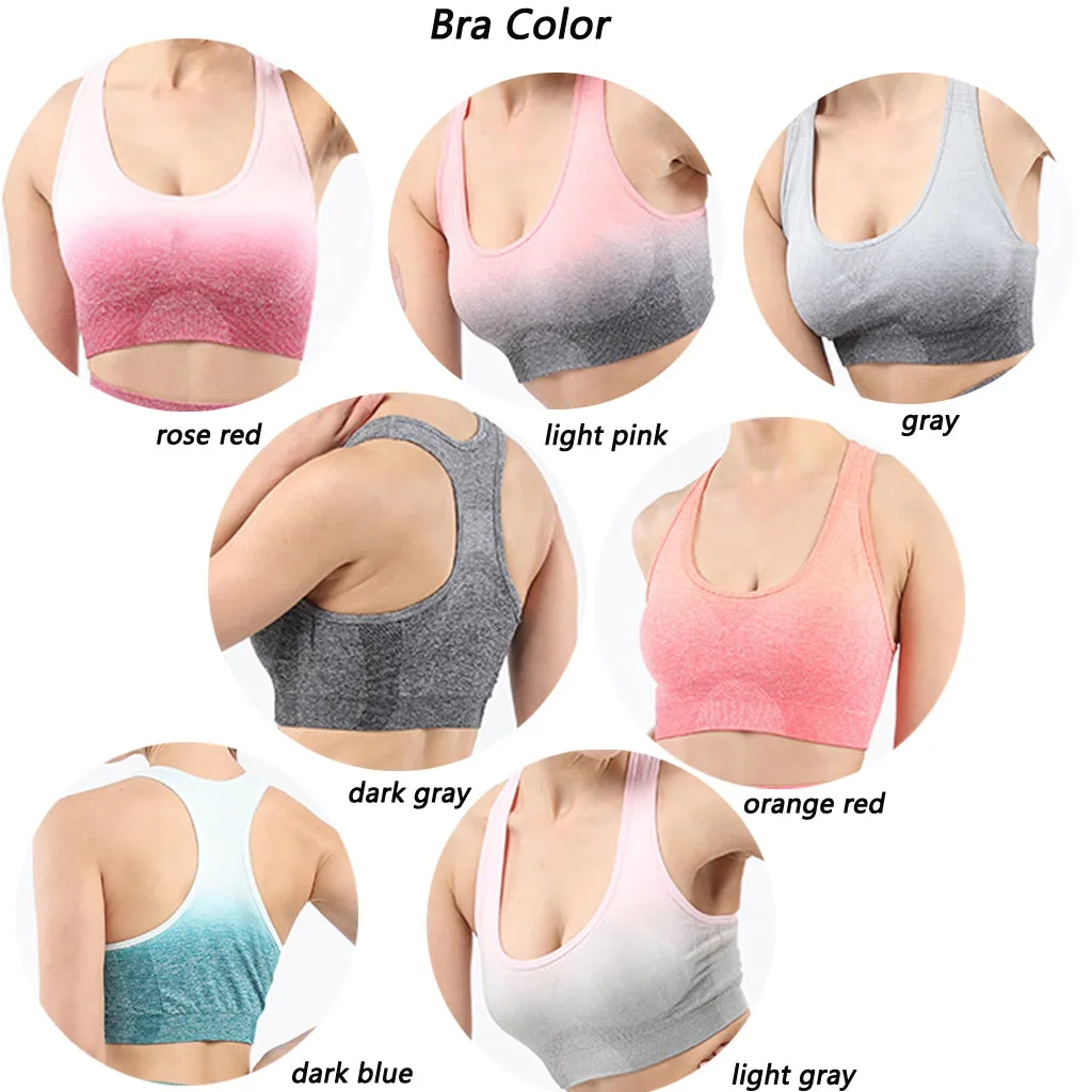 Women's sports bra gradient seamless knitting Fitness Yoga vest outdoor running underwear